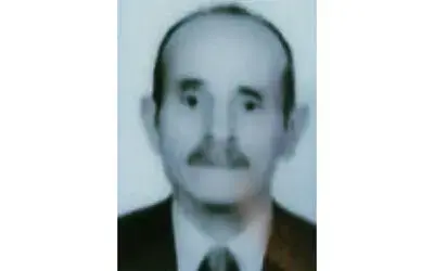 Erik ağacından düşen yaşlı adam hayatını kaybetti