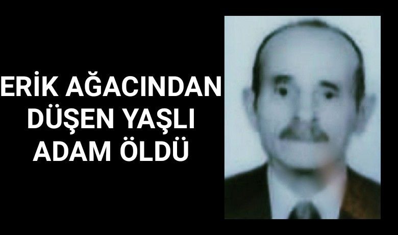 Erik ağacından düşen yaşlı adam hayatını kaybetti