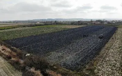 Samsun tarımsal üretimde zirveyi zorluyor
