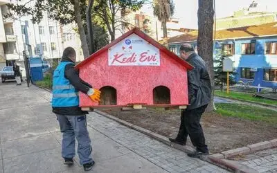 Canik’te can dostları emin ellerde
