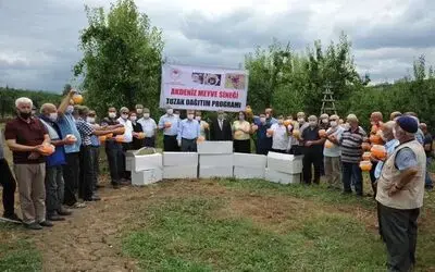Büyükşehir Belediyesi’nden meyve üreticisine destek
