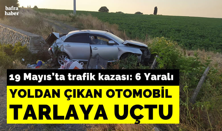 Otomobil tarla girişindekidemirlere çarptı: 6 yaralı