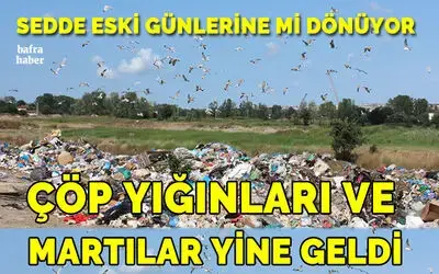 Sedde Eski Günlere Mi Dönüyor