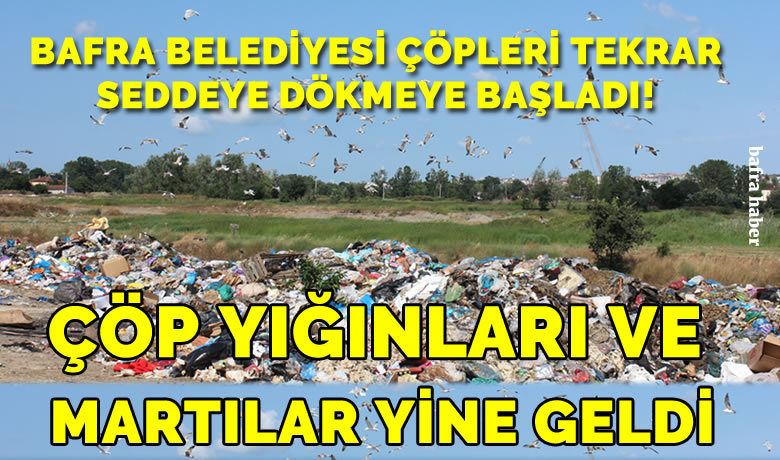 Sedde Eski Günlere Mi Dönüyor