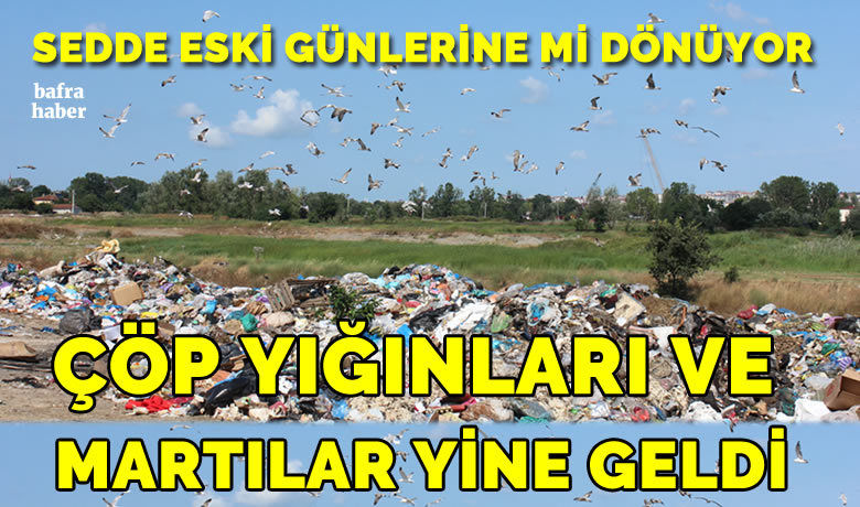 Sedde Eski Günlere Mi Dönüyor