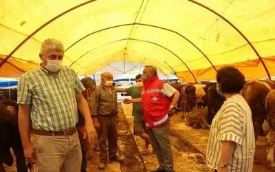 Kurbanlık hayvan alırken dikkat
