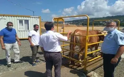Hayvan pazarlarına sıkı denetim
