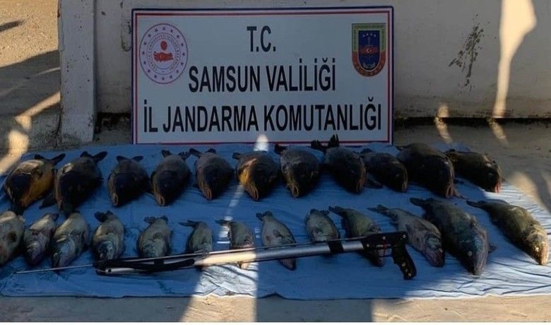 Altınkaya Baraj Gölü’nde zıpkınlakaçak avlayan 1 kişi yakalandı - Samsun’un Bafra İlçesi Altınkaya Baraj Gölü’nde zıpkınla kaçak 24 balık avlayan 1 kişi yakalandı.