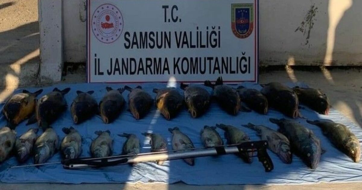 Altınkaya Baraj Gölü’nde zıpkınla kaçak avlayan 1 kişi yakalandı