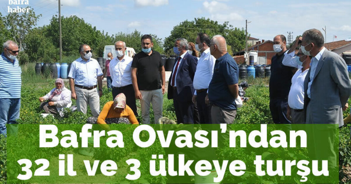 Bafra Ovası’ndan 32 il ve 3 ülkeye turşu