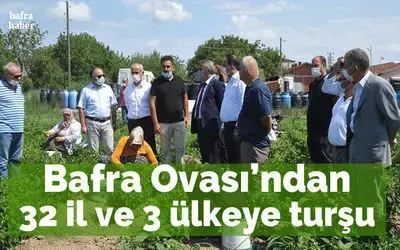 Bafra Ovası’ndan 32 il ve 3 ülkeye turşu