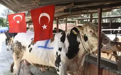 Tekkeköy’de her şehit için bir kurban kesilecek

