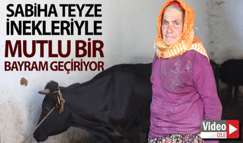 Sabiha Teyze inekleri ilemutlu bir bayram geçiriyor - Denizli’de telef olan ineğin ardından feryadı ile Türkiye’nin gündeminde yer alan Sabiha Özel’e birçok kurum ve hayırseverin desteği ile inek ve buzağı alındı. 71 yaşındaki Sabiha Özel, hayvanları ile mutlu bir Kurban Bayramı geçiriyor.BUGÜN NELER OLDU?