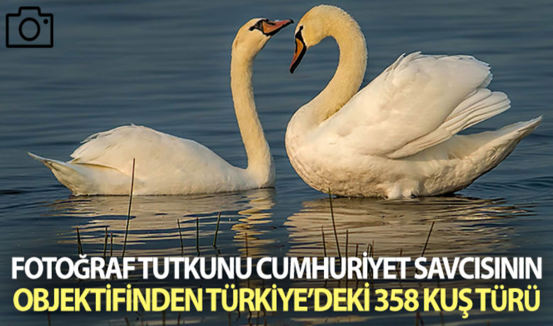 Fotoğraf tutkunu cumhuriyet savcısı358'inci kuş türünü belgeledi - Samsun Bölge Adliyesi'nde görevli Cumhuriyet Savcısı Vedat Soğukpınar hobi olarak kuşların fotoğraflarını çekiyor. Soğukpınar, Samsun'da gözlemlenen 358'inci ve son kuş olan kap kumrusunu belgeledi. Haberin videosunu izlemek için tıklayınız