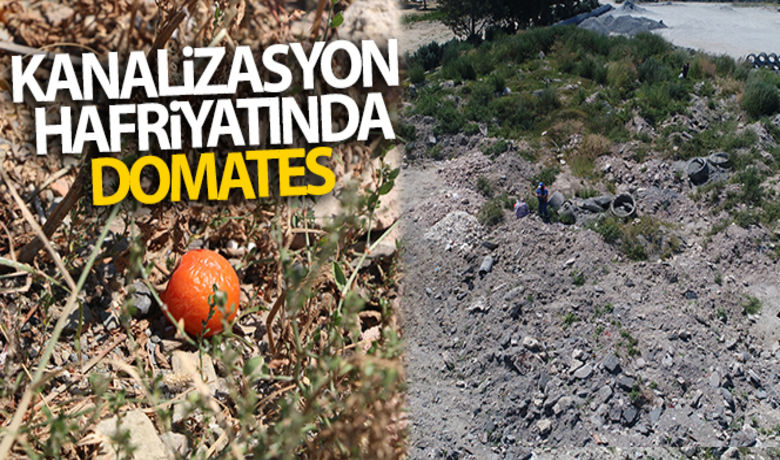 Kanalizasyon hafriyatında domates yetişiyor - Kazlıçeşme’de kanalizasyon çalışmalarında çıkan hafriyatlarının döküldüğü alanda şaşırtan görüntüler ortaya çıktı. Hafriyat yığınları arasında domateslerin yetiştiğini öğrenen kadınlar, her gün alana gelerek torbalarını dolduruyor.BUGÜN NELER OLDU?