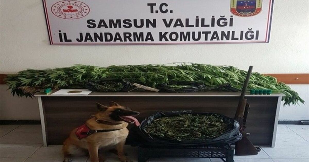 Uyuşturucu tacirleri "Ozon"u geçemiyor
