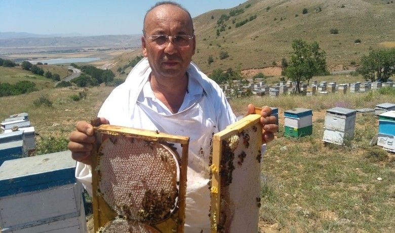 ’Bal’lı sezon
 - Samsun İli Arı Yetiştiricileri Birliği Yönetim Kurulu Başkanı Rasim Kaplan, bu sene hem bal kalitesinde hem de üretiminde artış gözlemlendiğini söyledi.
