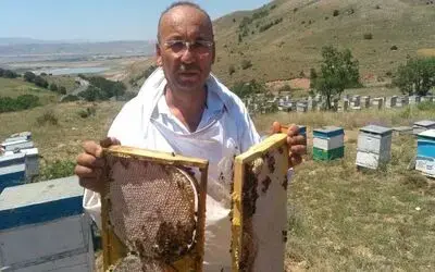 ’Bal’lı sezon
