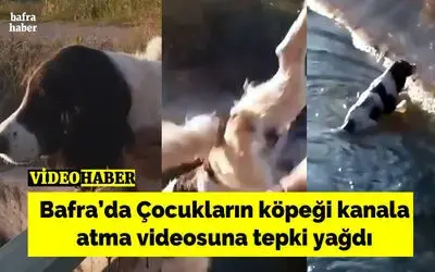 Bafra’da Çocukların Köpeği Kanala Atma Videosuna Tepki Yağdı