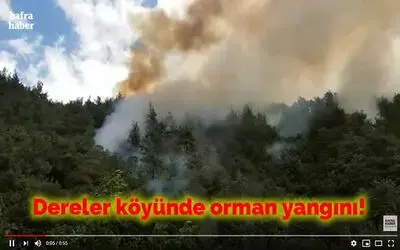 Dereler Köyünde Orman Yangını! 