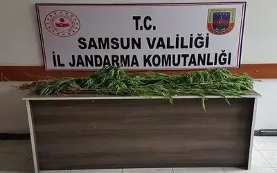 Terme’de jandarmadan operasyon
