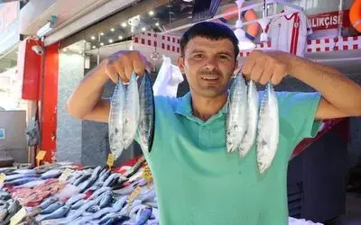 Sezonun ilk palamutları görücüye çıktı
