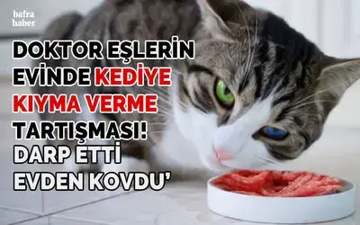 Kediye kıyma veren doktor eşini darp edip evden kovdu