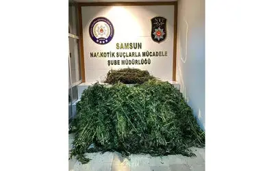 ‘Köpek bakım çiftliği’nde 118 kök kenevir ve 10 kilo 600 gram esrar ele geçirildi
