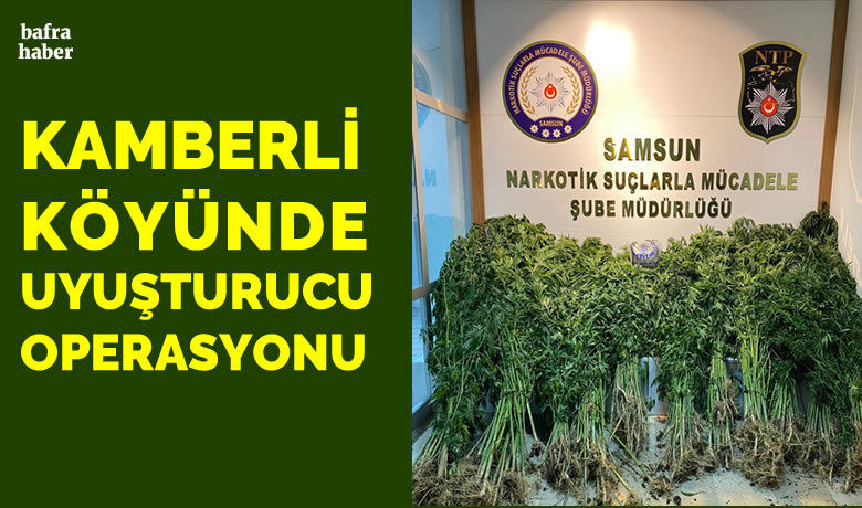 Bafra’da 562 kök kenevir ve350 gram esrar ele geçirildi - Samsun’un Bafra ilçesinde 562 kök kenevir bitkisi ile 350 gram kurutulmaya bırakılmış esrar maddesi ele geçirildi.
