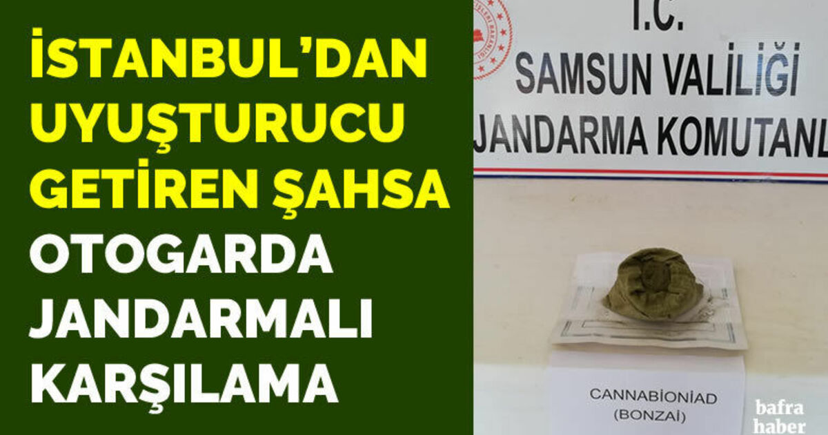 İstanbul'dan uyuşturucu getiren şahsa Bafra otogarında Jandarmalı karşılama