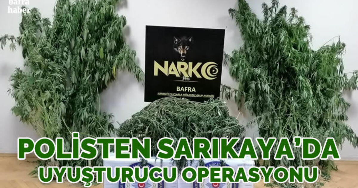 Bafra'da uyuşturucu operasyonu
