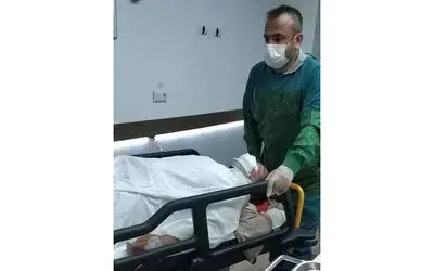 Zincirinden kurtulan boğa sahibini hastanelik etti
