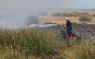 19 Mayıs’ta sazlık alanda yangın
