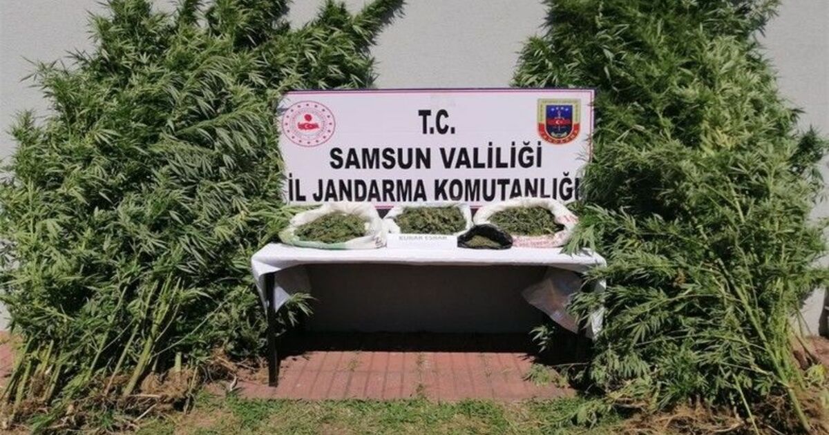 Jandarmadan uyuşturucuya geçit yok
