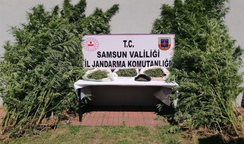 Jandarmadan uyuşturucuya geçit yok
 - SAMSUN (İHA) – Samsun’da jandarma ekipleri tarafından yapılan çalışmalarda 11 olayda 15 şüpheli şahıs gözaltına alınarak çok sayıda uyuşturucu madde ele geçirildi.