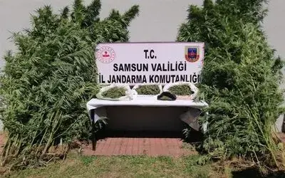 Jandarmadan uyuşturucuya geçit yok
