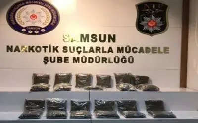 Samsun’da 16 kilo 410 gram bonzai ele geçti: 6 gözaltı
