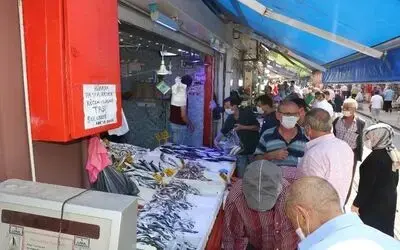 Palamut 1 gün 4 TL düştü
