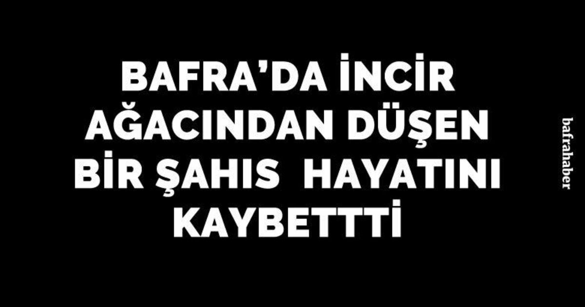 İncir ağacından düşen yaşlı adam hayatını kaybetti