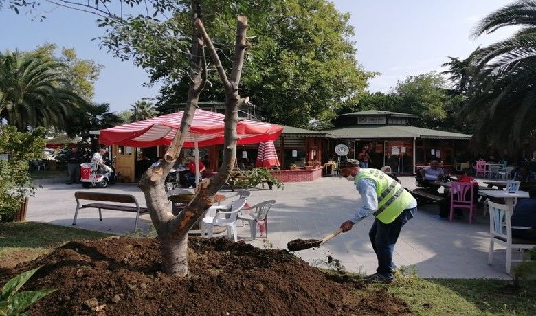 Engellileri mutlu eden çalışma
 - Büyükşehir Belediyesi Park ve Bahçeler Dairesi Başkanlığı ekipleri Türkiye Sakatlar Derneği Samsun Şubesi’nin bahçesinde çevre düzenlemesi çalışması gerçekleştirdi.