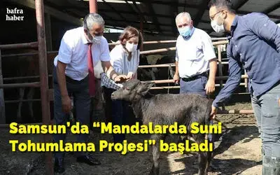 Samsun’da “Mandalarda Suni Tohumlama Projesi” başladı