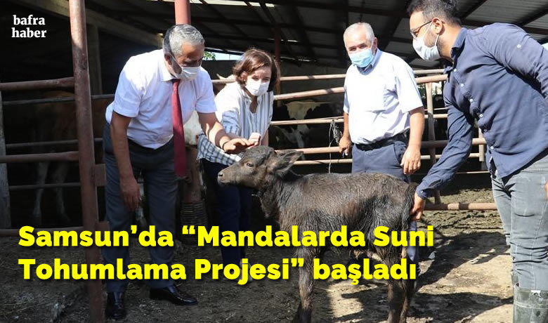 Samsun’da “Mandalarda SuniTohumlama Projesi” başladı