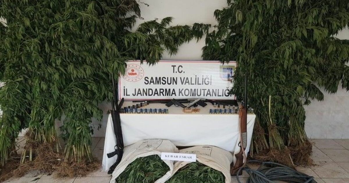 Bafra’da uyuşturucu operasyonu

