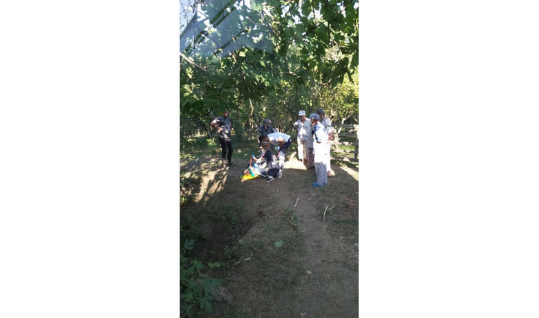İncir ağacından düşen kadın yaralandı
 - Samsun’un Terme ilçesinde meyve toplamak için ağaca çıkan kadın dengesini kaybedip yere düşerek yaralandı.