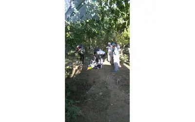 İncir ağacından düşen kadın yaralandı
