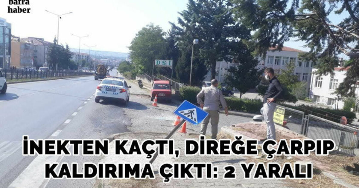 İneklerden Kaçtı Direğe Çarptı: 2 Yaralı