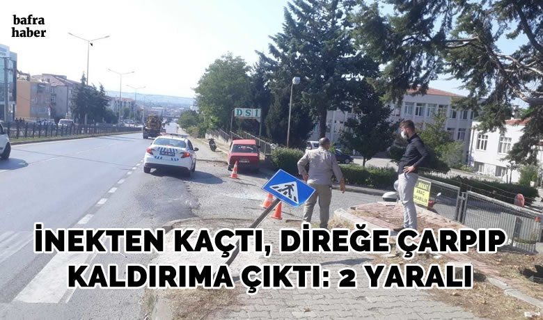 İneklerden Kaçtı Direğe Çarptı: 2 Yaralı - Samsun’un Bafra ilçesinde meydana gelen kazada yol ortasındagezen ineklere çarpmamak için manevra yapan sürücü önce demir direğe sonra isekaldırıma savruldu.