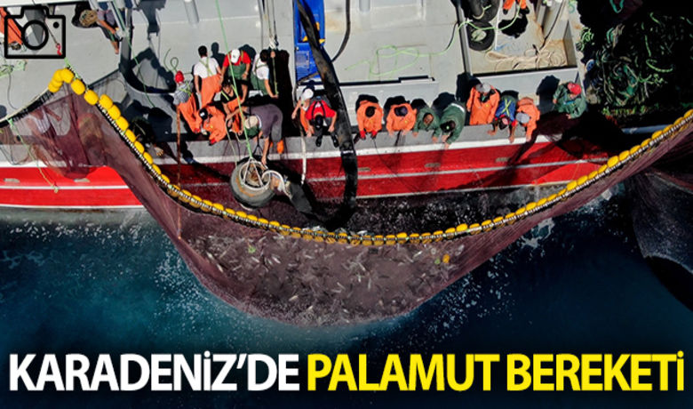 Karadeniz'de palamut bereketi - 1 Eylül`de av yasağının kalkmasıyla Marmara Denizi'ne açılan balıkçılar umduklarını bulamayınca Karadeniz'de palamut avlıyor. Havaların soğumasıyla palamudun artması bekleniyor.