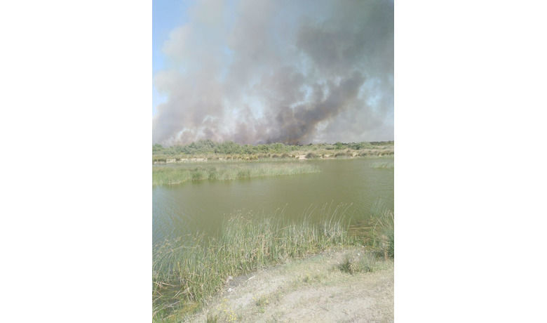 Yörükler'de Gogo Yangını - Samsun'un 19 Mayıs ilçesine bağlı Yirukler6 Mahallesinde Gogo yangın çıktı.