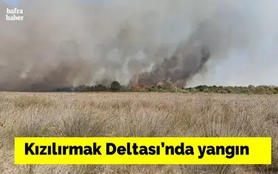 Kızılırmak Deltası’nda yangın